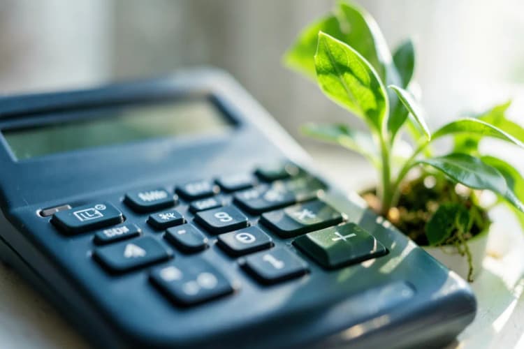 Um close-up de uma calculadora com números na tela e uma planta crescendo ao lado.