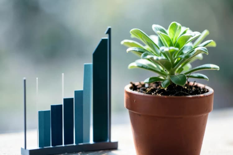 Um gráfico de barras simulando crescimento financeiro ao lado de uma planta crescendo em um vaso